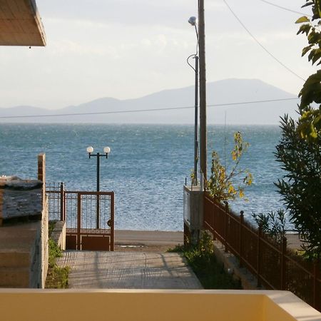 Artemis - Marina Apartments Evia Esterno foto