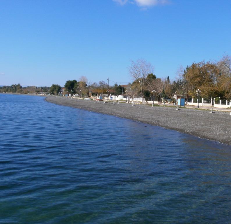 Artemis - Marina Apartments Evia Camera foto