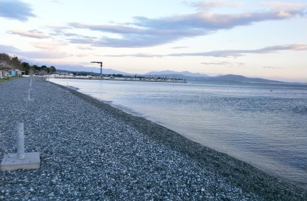 Artemis - Marina Apartments Evia Camera foto